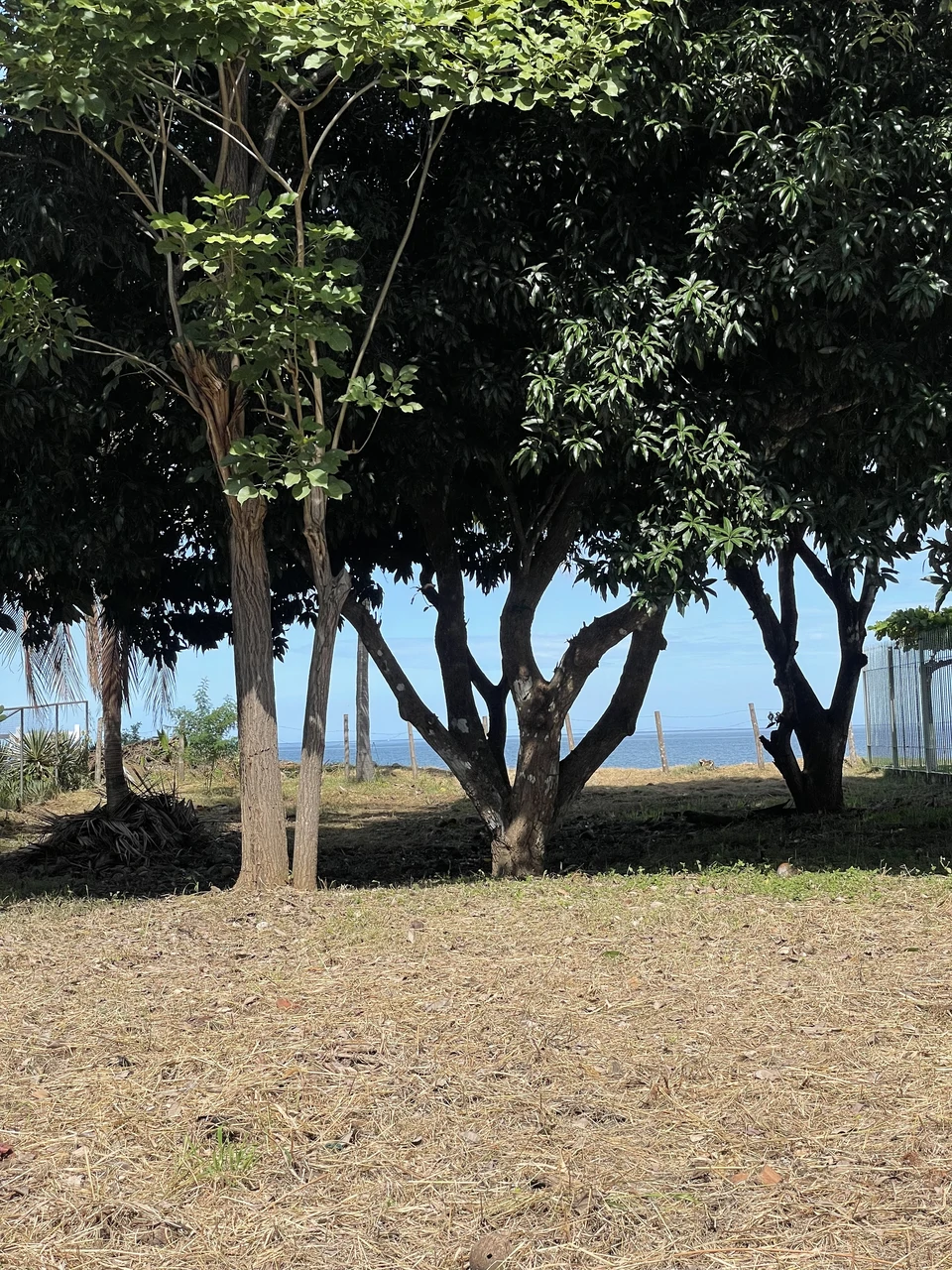 Surfside Lot Y22: One of the Only Remaining BEACHFRONT Lots in Playa Potrero with Water!! - Gallery image 9