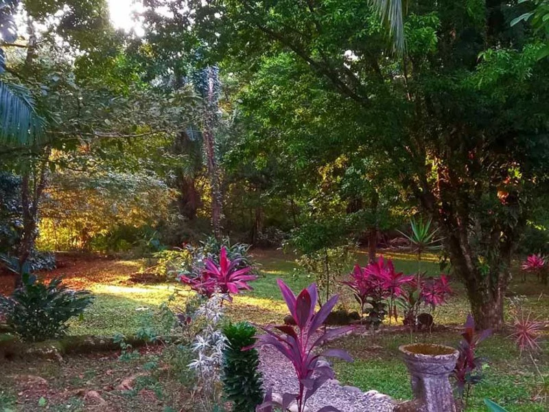 8 Cabinas with Swimming Pool on Lush Jungle Property in Uvita - Gallery image 41