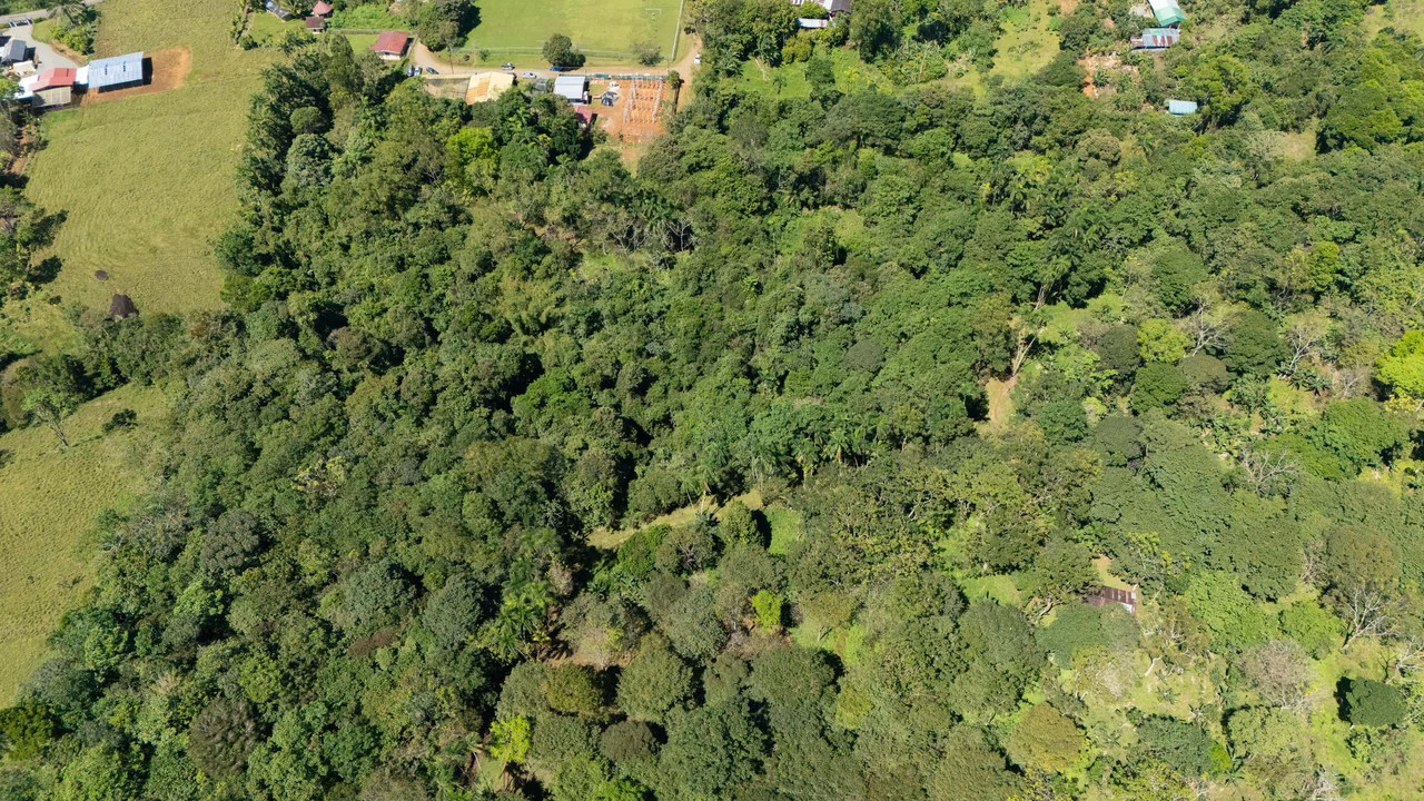 Mountain Home Construction Site For Sale in Centro de Pérez Zeledón - Gallery image 8