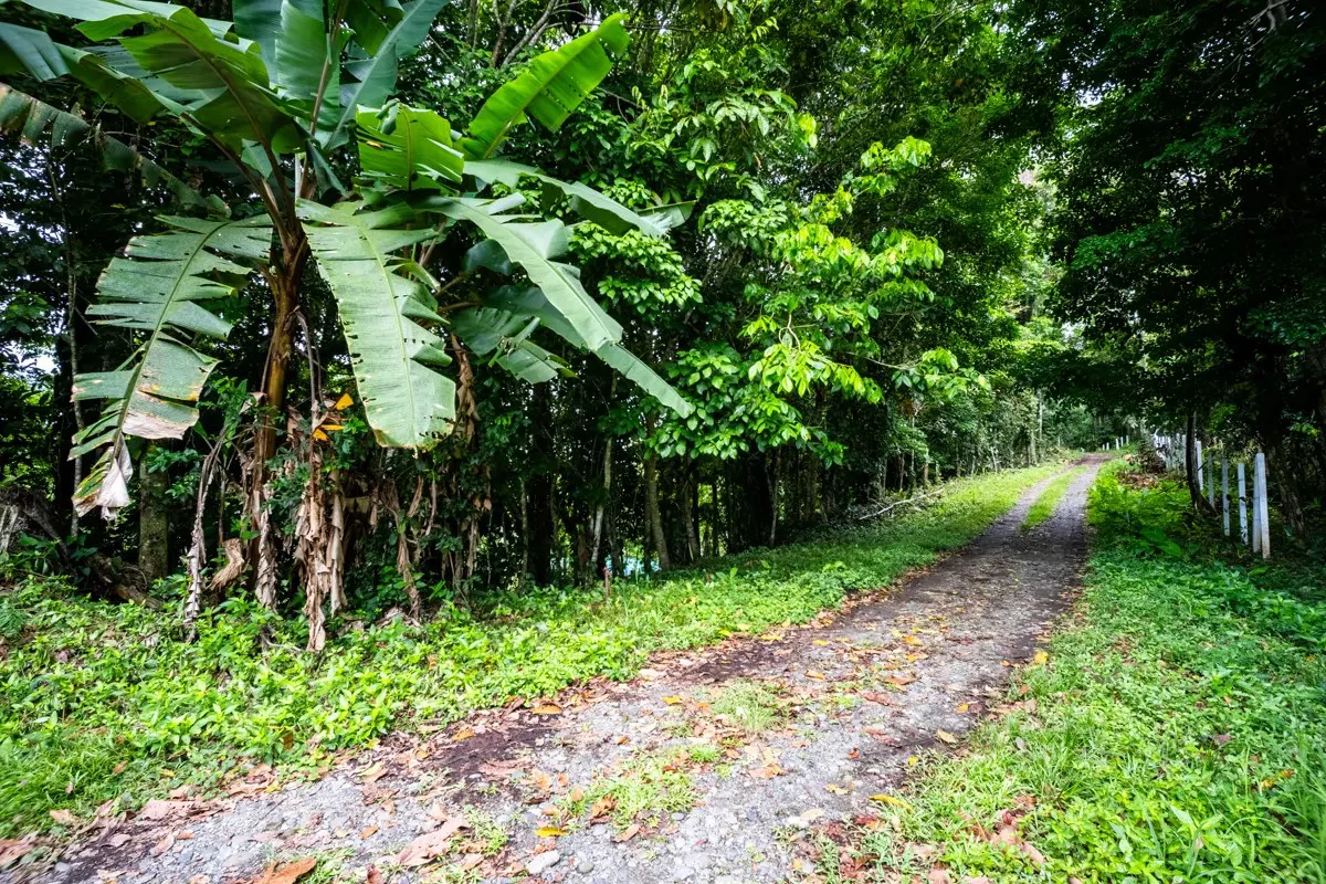 ID 1084: 5,500 sqm Lot with Mountain View in Iriria 1, Punta Uva - Gallery image 10