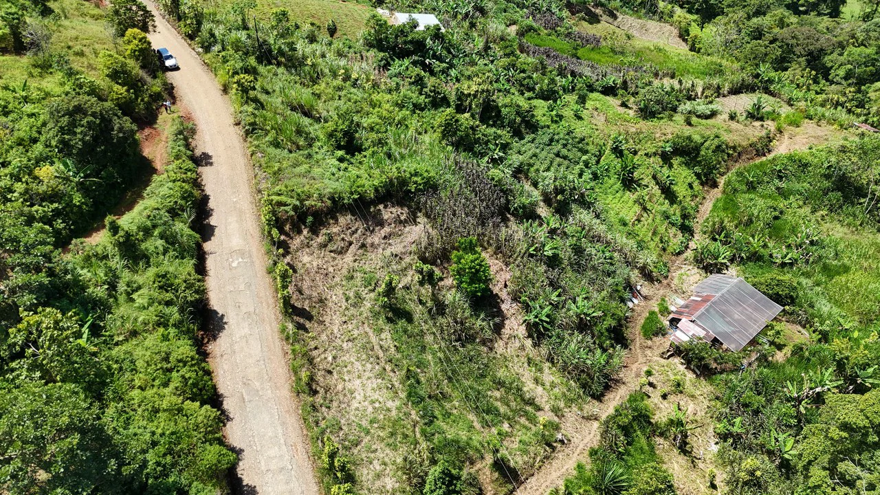 LOTE EN RIVAS: Mountain Agricultural Land For Sale in San Isidro del General - Gallery image 4