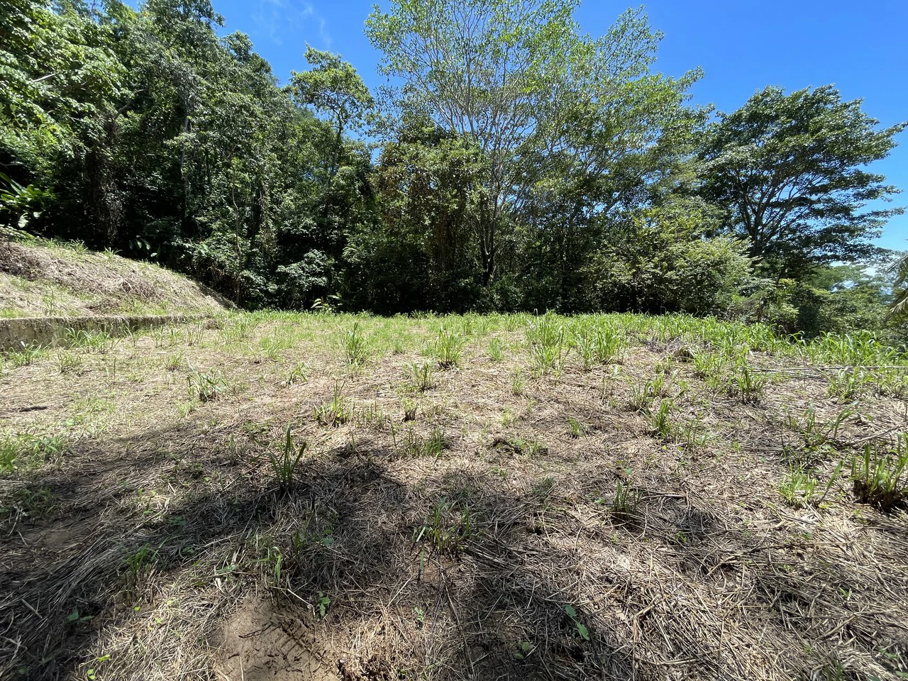 5.4 ACRES – Amazing Ocean View Acreage With Multiple Building Sites And Legal Water!!! - Gallery image 9