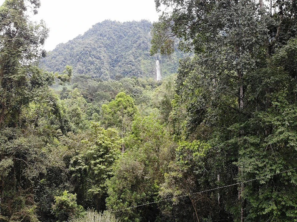 Costa Rican Retreat with Spectacular Waterfall Views - Gallery image 16