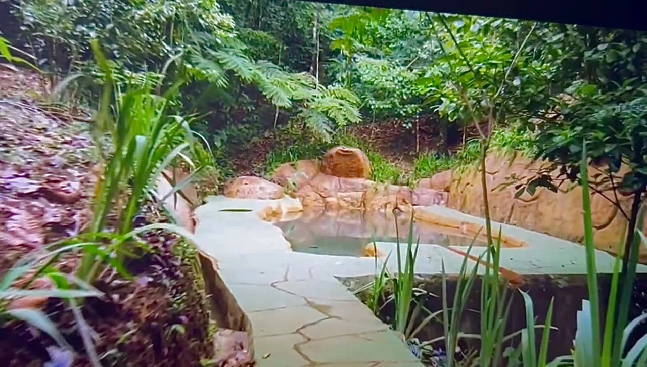 Costa Rica Ecolodge Retreat: Spectacular Views Turnkey Ecolodge Mountain Retreat in the heart of Costa Rica - Gallery image 10