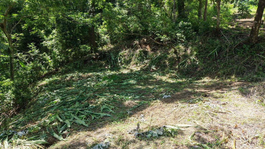 Lote Budry: Exclusive Elevated Lot with Stunning Mountain & Jungle Views Near Samara Beach - Gallery image 11