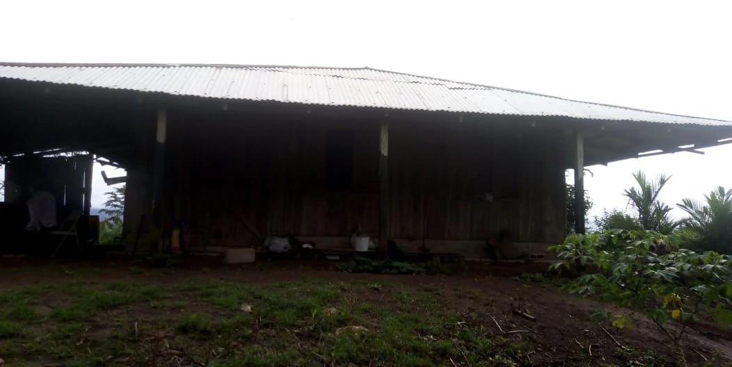 Agricultural farmland for sale in Aguas Claras, Alajuela, 1 house and many fruit trees - Gallery image 28