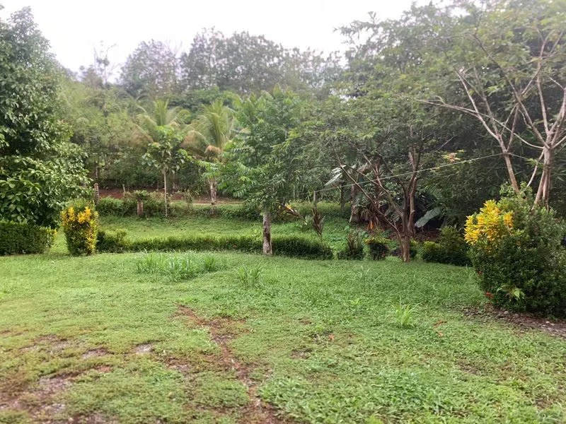 Private Home in Oasis: La Amapola, Puerto Jimenez - Gallery image 19