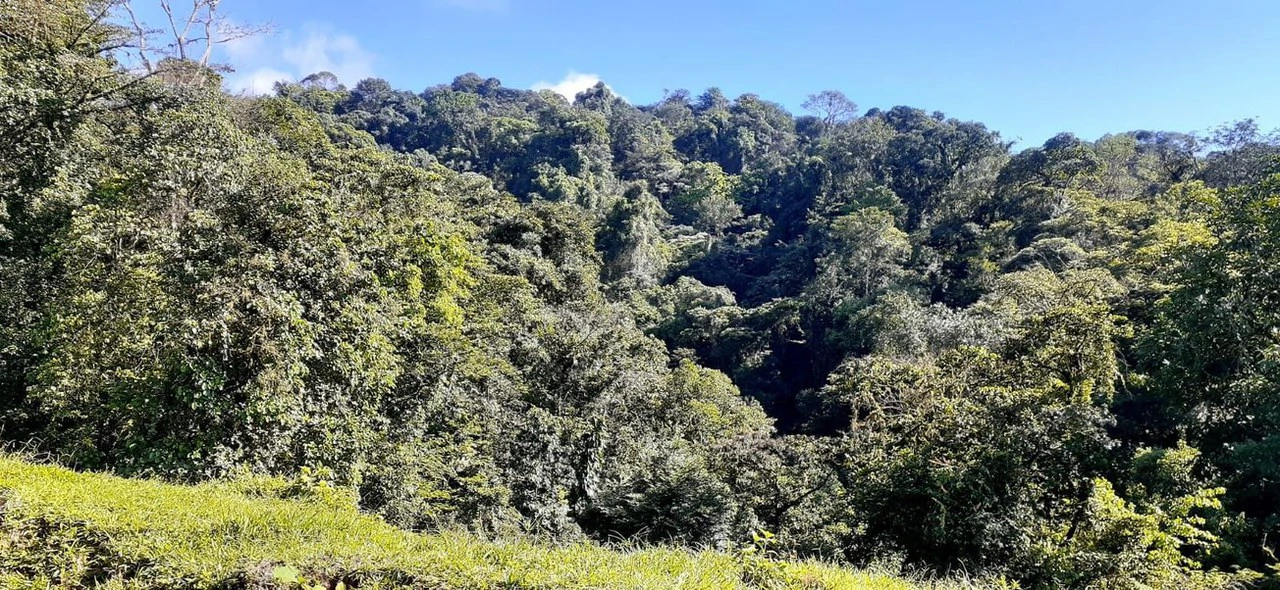 SECLUDED PARADISE WITH STUNNING VIEWS, WATERFALLS & ABUNDANT WILDLIFE - Gallery image 27