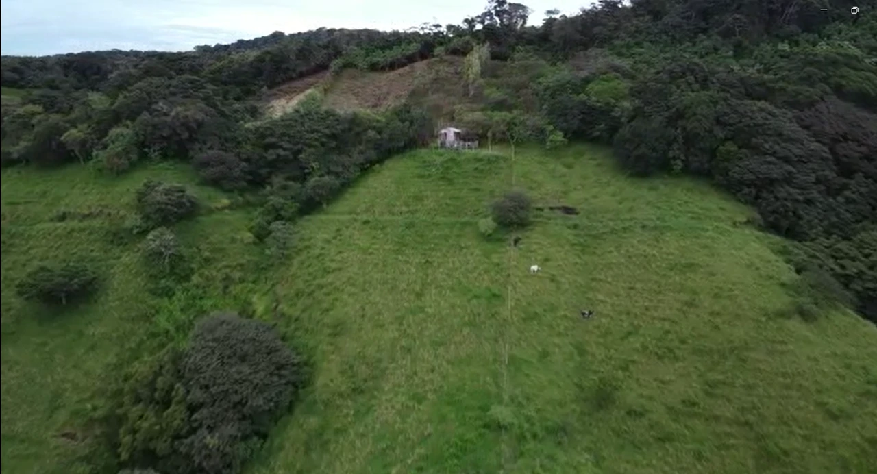 A Lifestyle Canvas with Gulf Views: 5 Hectares Near Monteverde CE0224: Build Your Dream Lifestyle: 5 Hectares with a million dollar Ocean Views & Sunset Magic Near Monteverde - Gallery image 13