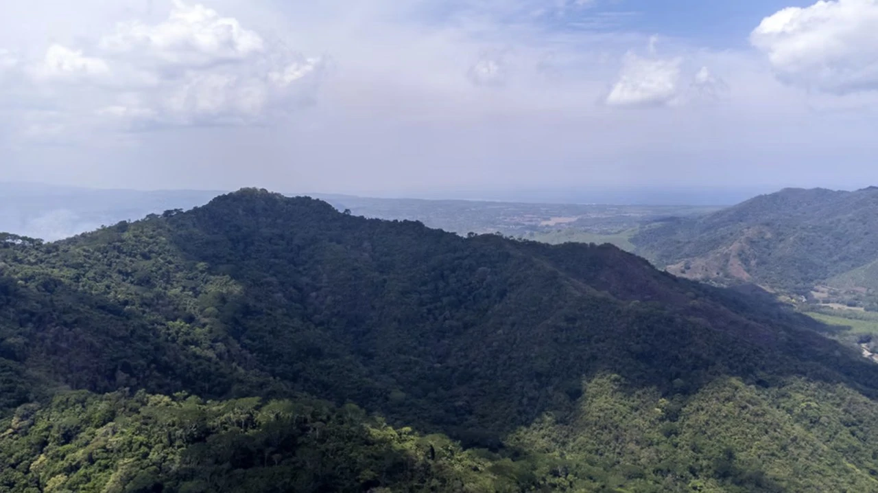 Farm for sale in Puntarenas Lepanto Costa Rica - Gallery image 3