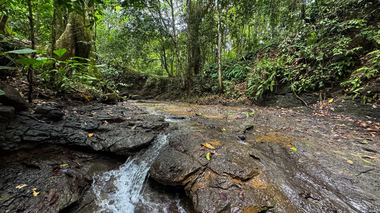 Beautiful Lot Ready to Built in Playa Hermosa, Osa with a Creek - Gallery image 12