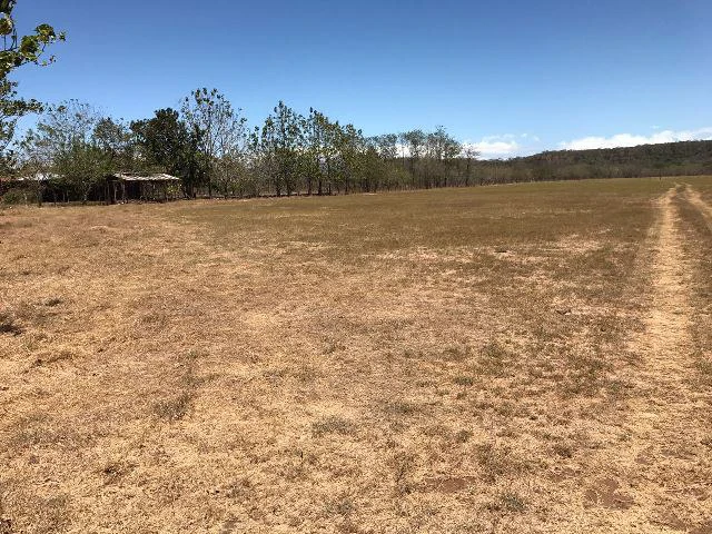 Huge terrain for sale in Guardia close to the International Airport of Liberia - Gallery image 39
