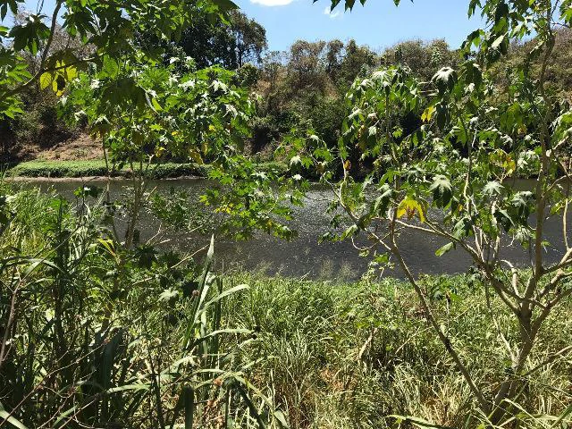 Huge terrain for sale in Guardia close to the International Airport of Liberia - Gallery image 14