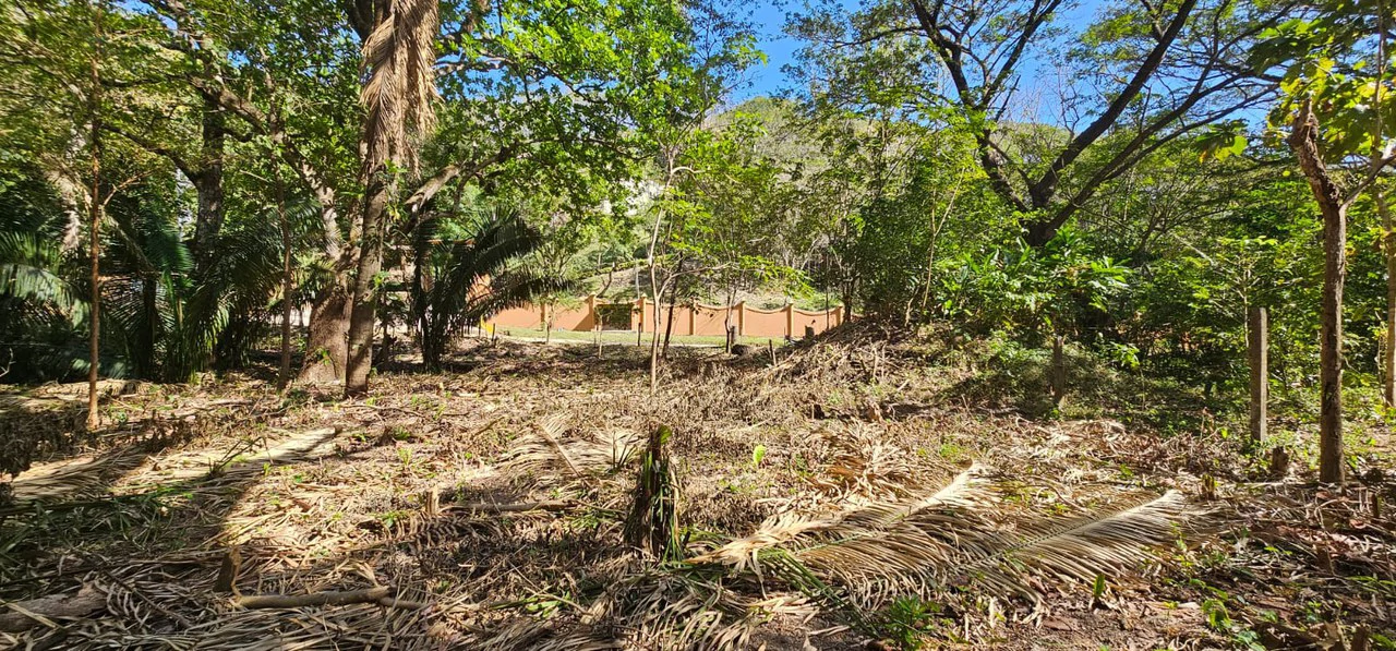 1-Acre Lot with Seasonal Creek - Build Your Dream Home, Rentals, or Business - Gallery image 5