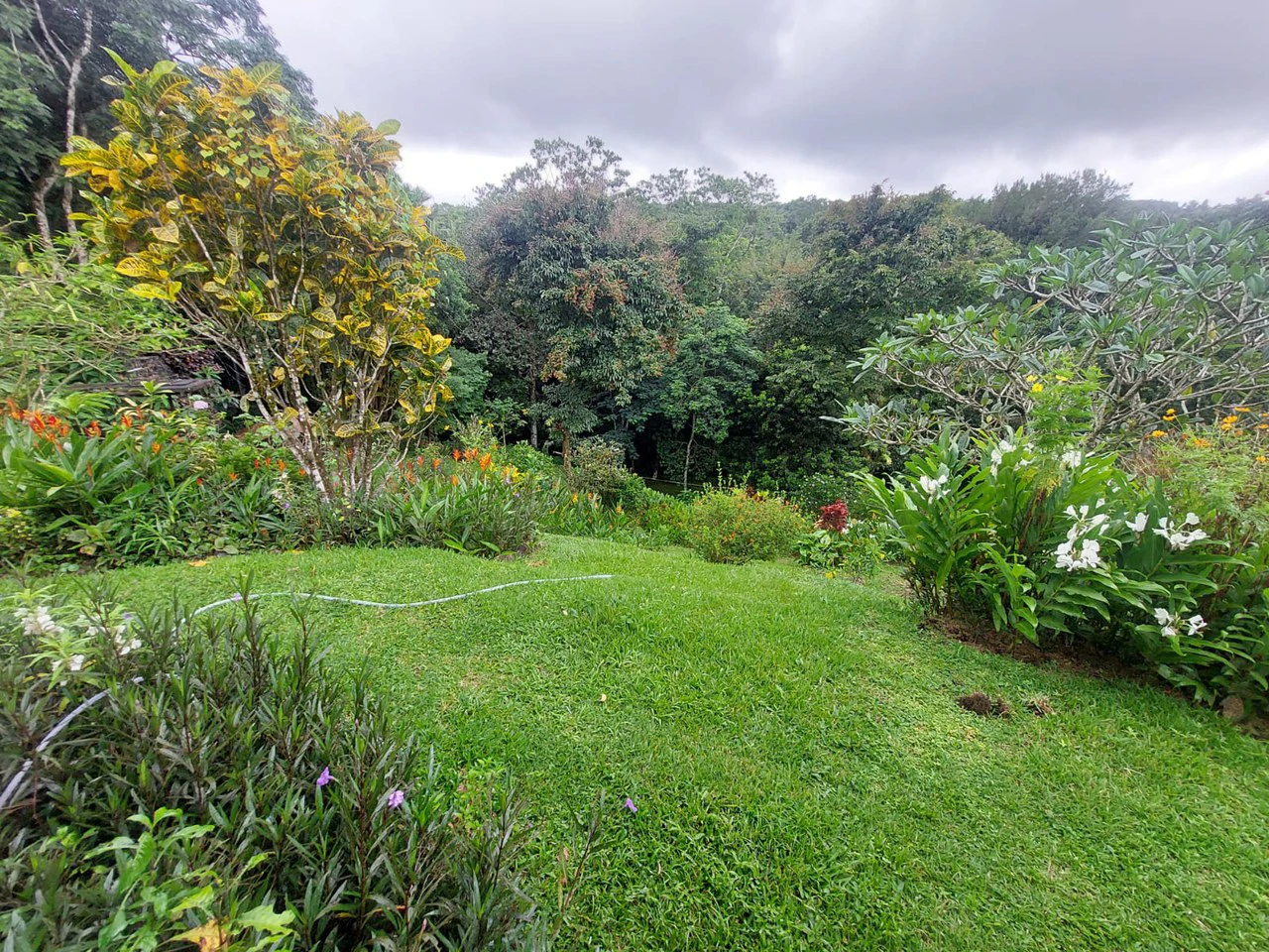 VILLA  ESPERANZA - Gallery image 4