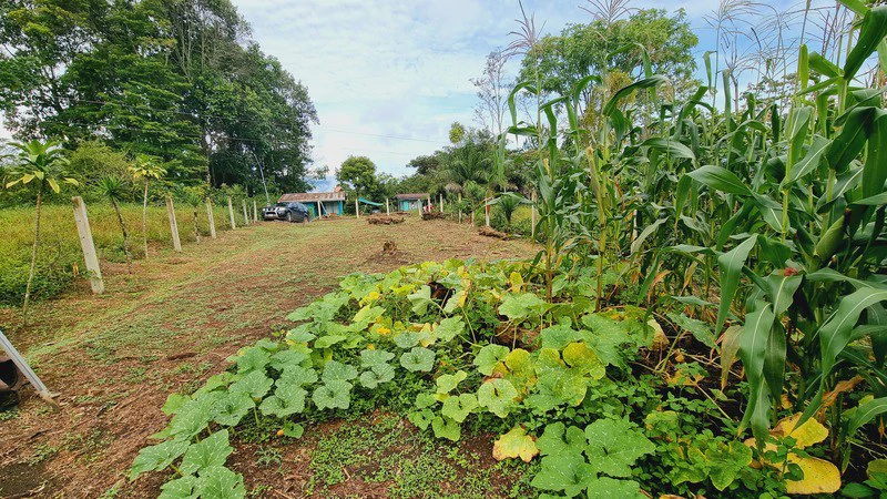 Lote en San Francisco de Cajon: Mountain Agricultural Land For Sale in San Francisco - Gallery image 5
