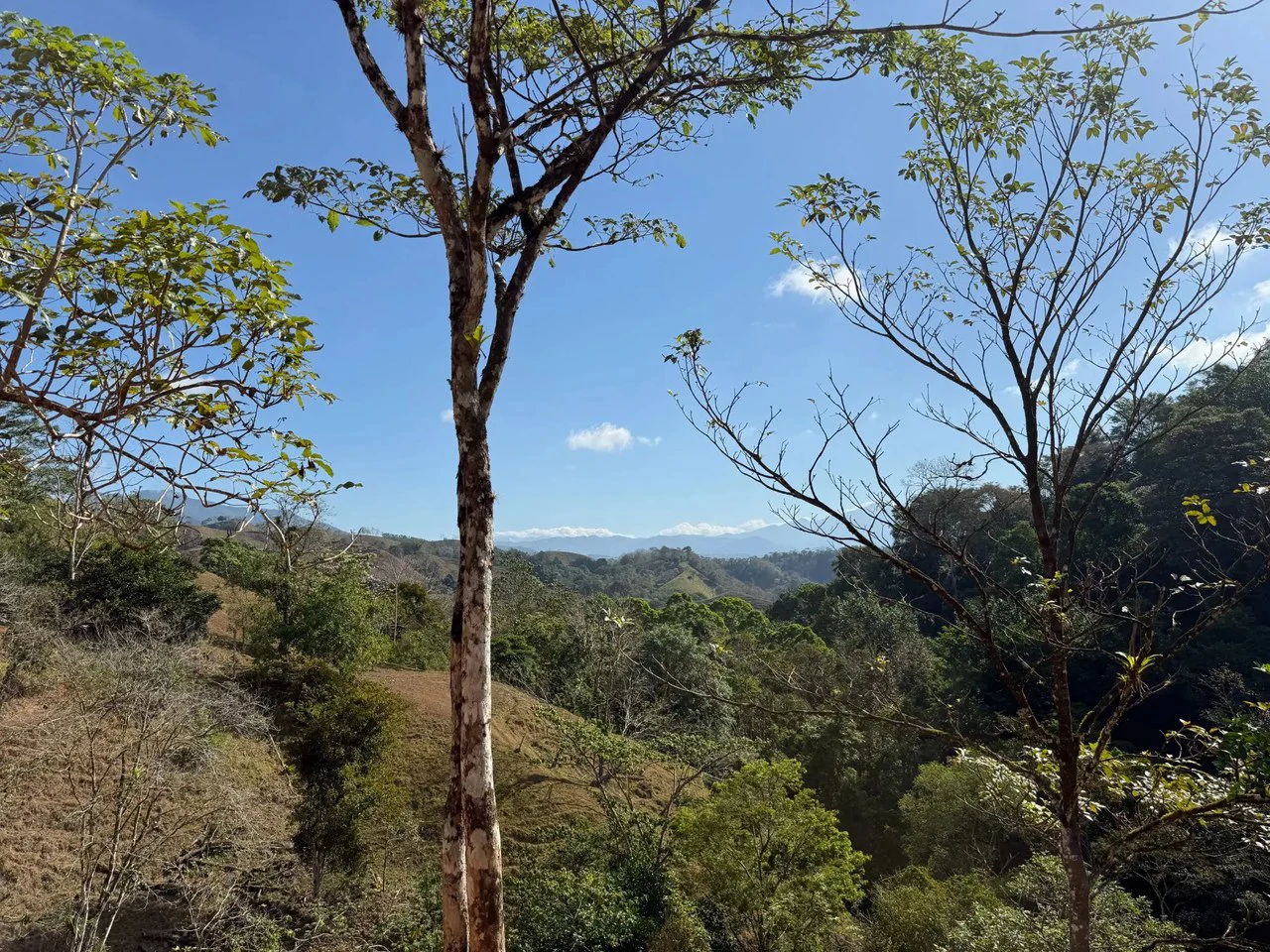 11.4 Hectare Mountain Estate: Lush Forest, River & Farm Potential in Arenal Puriscal , San Jose - Gallery image 23