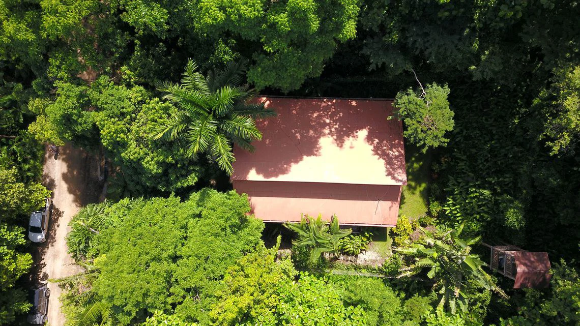Casa Mango: Price Drop - Peaceful Teak Chalet-Style Home With Expansion Potential in a Lush Tropical Setting Near Samara - Gallery image 3