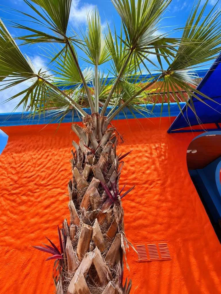 ID 4220: Hotel Carmen Coral - Playa Tambor, Puntarenas - photo 34