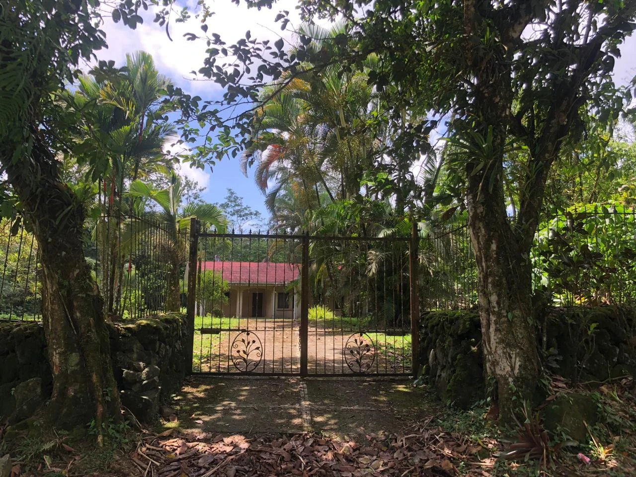 Hot Springs Property in Dos Ríos de Upala – Excellent Investment Opportunity - Gallery image 4