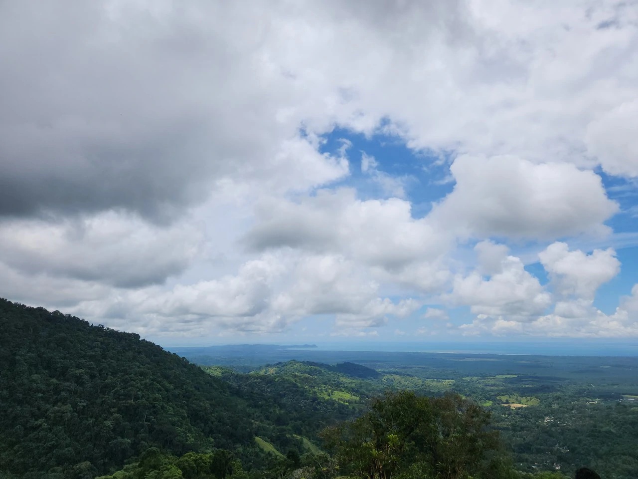 PRIME PARRITA FARM FOR SALE - Gallery image 50
