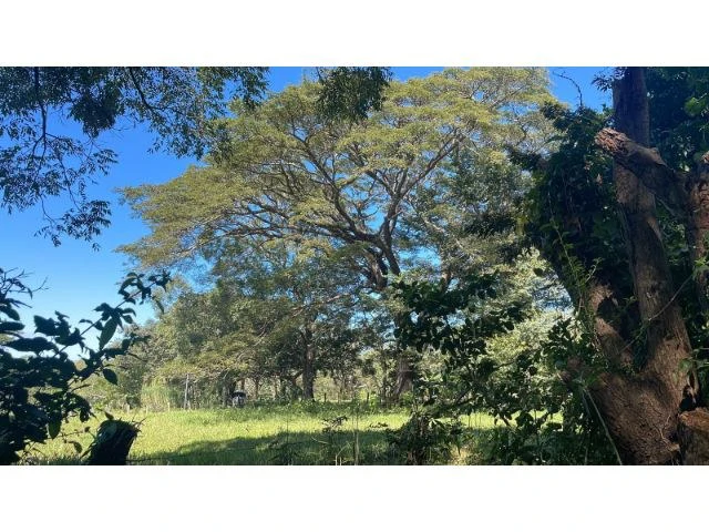 Nature Paradise Farm for sale in the mountains of Quebrada Grande, Building potential property 30 minutes away from Liberia