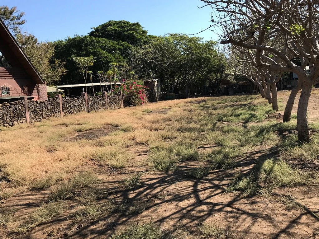 Property in Playas del Coco - Gallery image 3