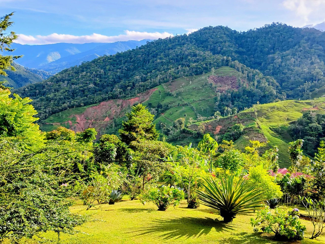 Mountain House For Sale in San Isidro del General - photo 6