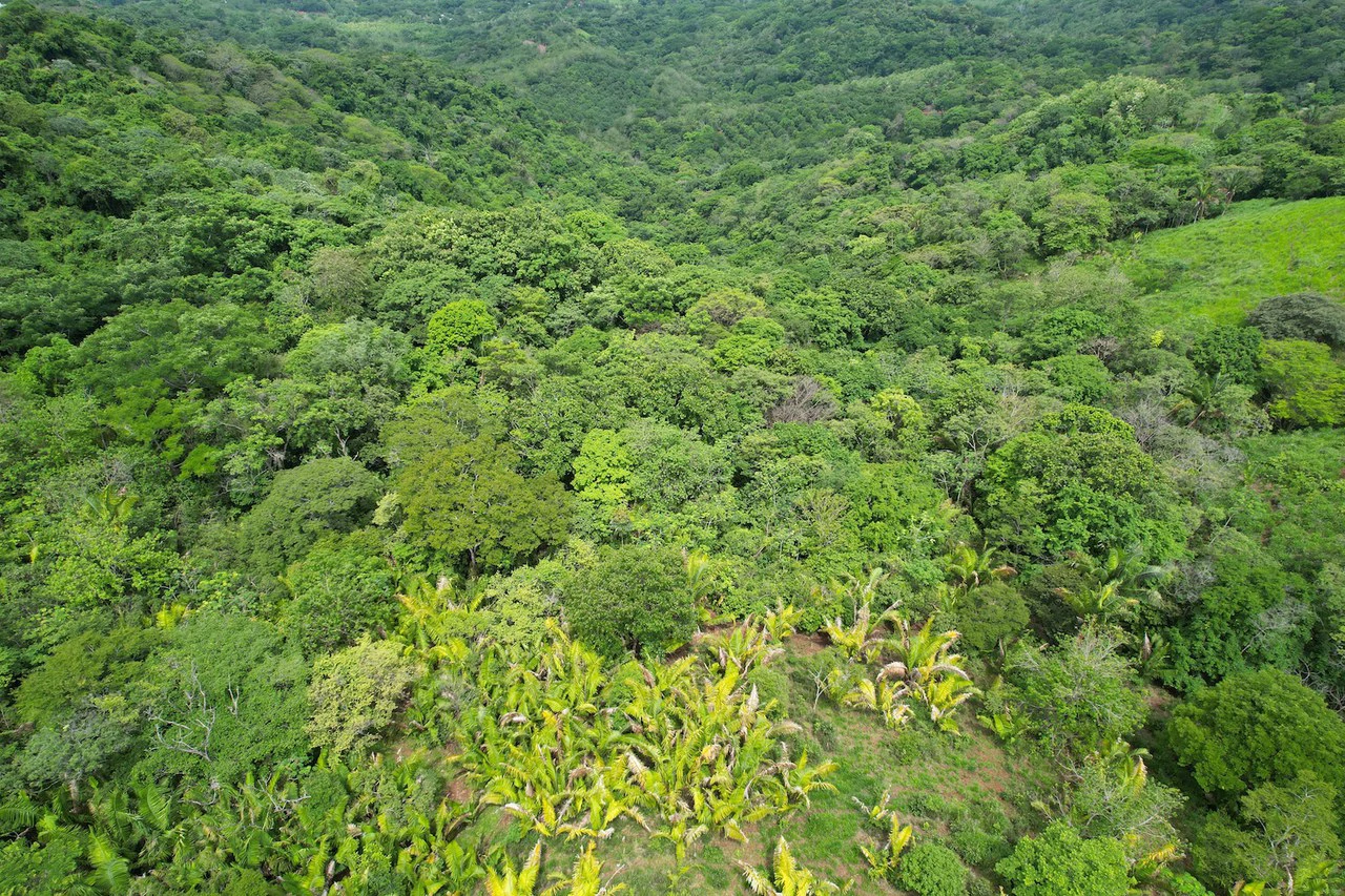 Lotes Paraíso: Spectacular Ocean and Mountain View 5.77 acres Development Land - Gallery image 9