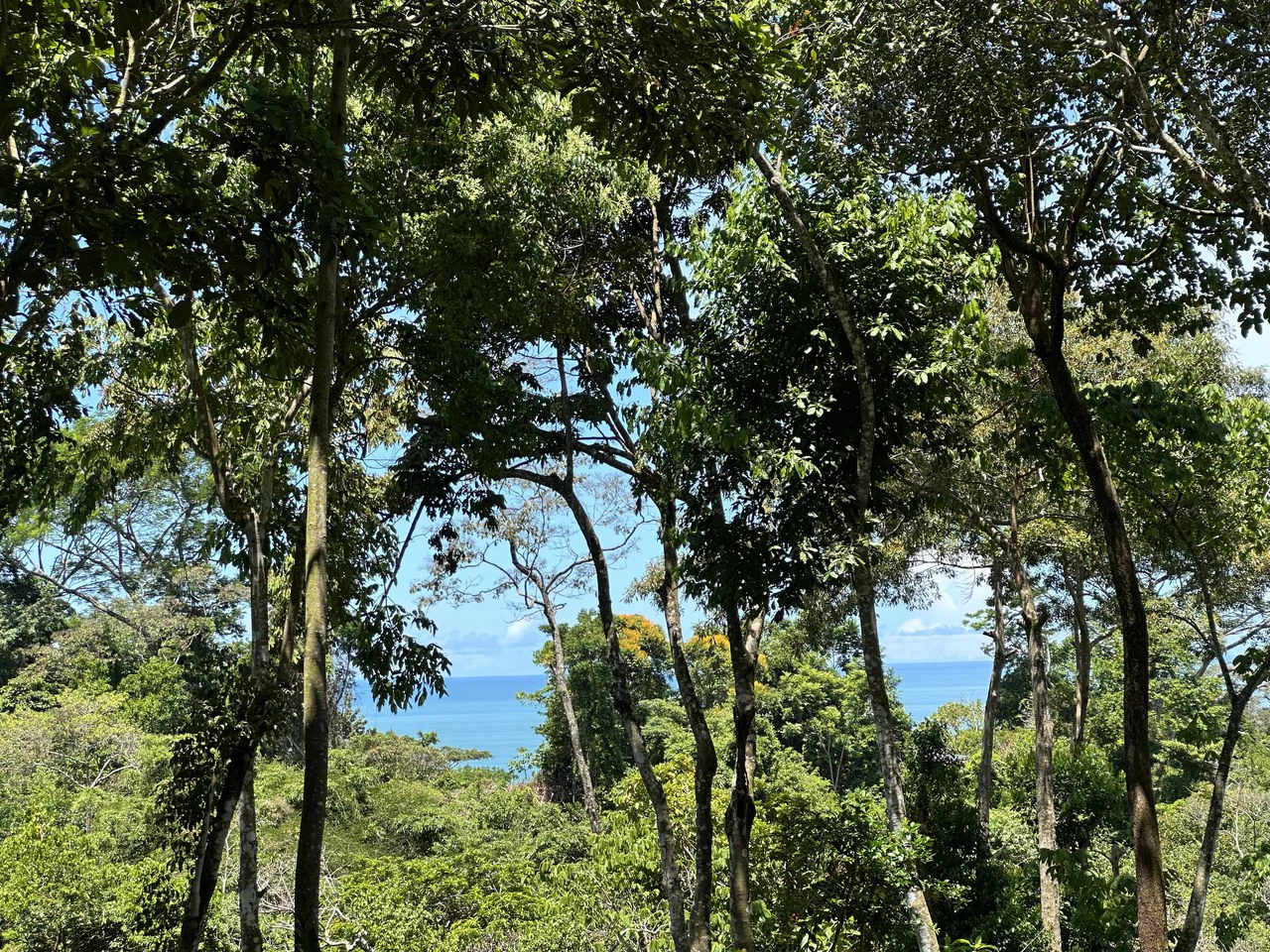 Ocean View Lot in Paradise Breezes, Hatillo - Ready to build - Gallery image 5