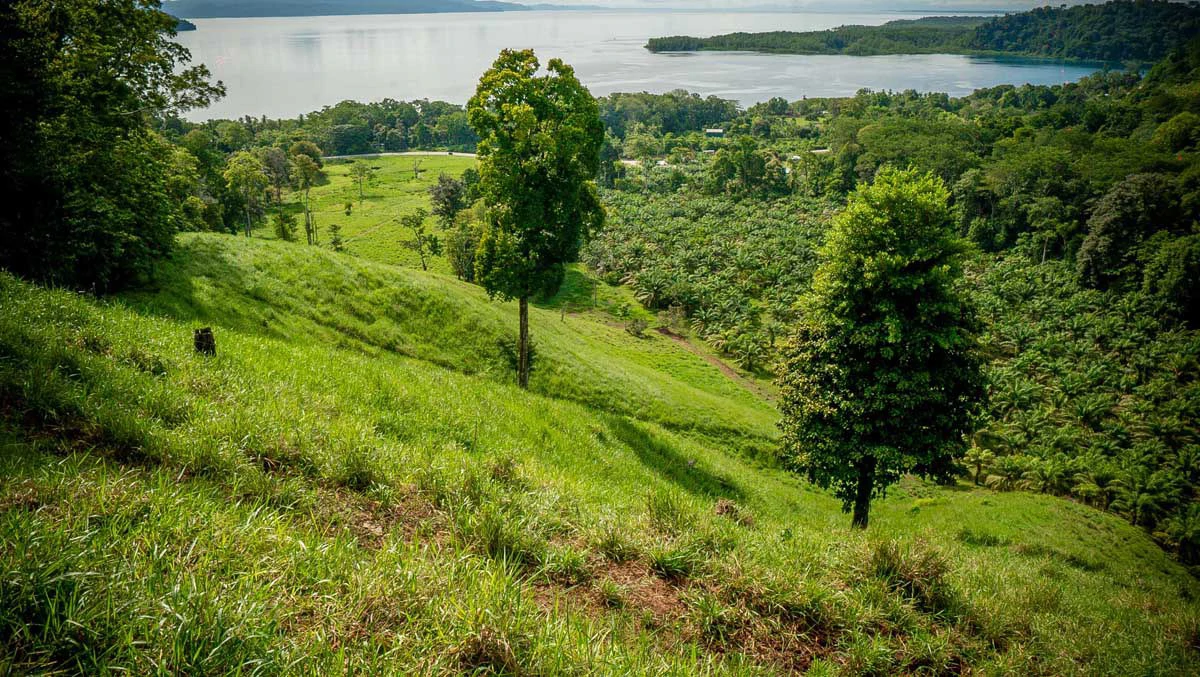 Rincon Massive Acreage and Gulf of Dulce Views - Gallery image 12
