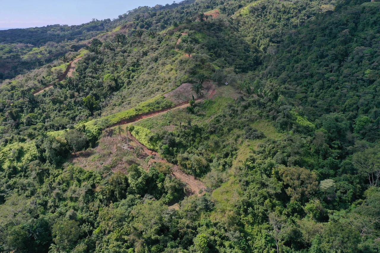 12 Acre Ocean View Farm in a Private Agricultural Community - Gallery image 9