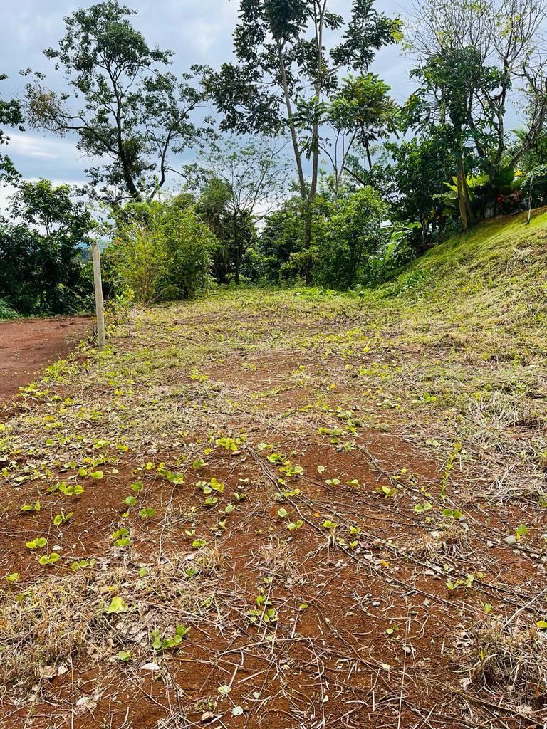 Prime Highway Lot in Peñas Blancas – Ideal for Commercial Use