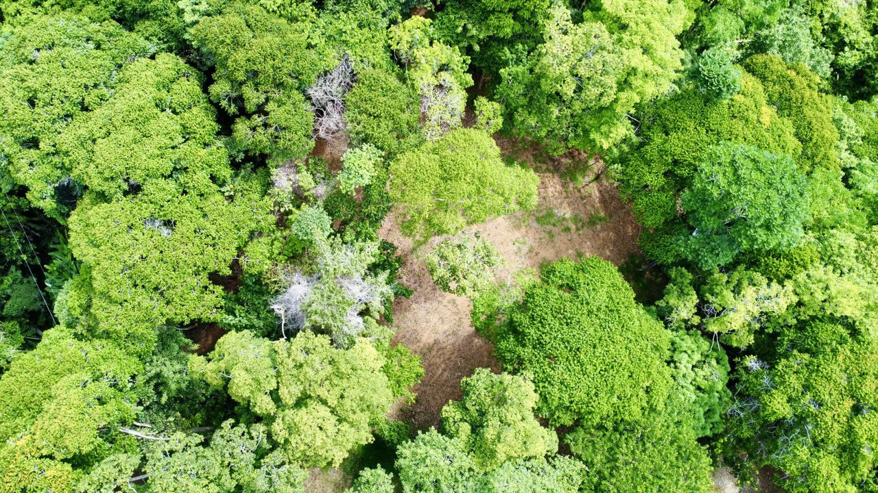 5.11 ACRES – Ocean And Mountain View Estate Property, Several Flat Buildable Areas, Legal ASADA Water!!! - Gallery image 11