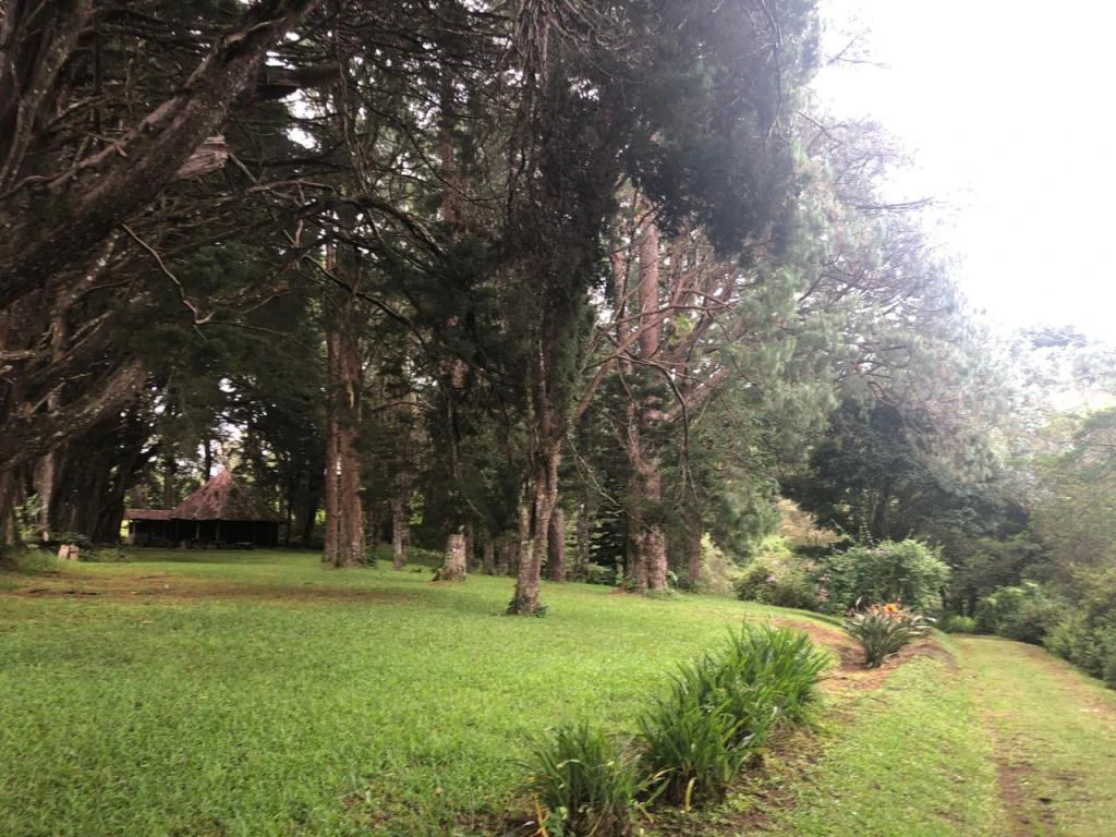 Horse ranch mountain farmland with its own stable's in San Rafael, Heredia - Gallery image 38