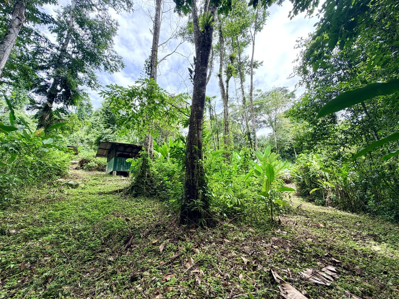 Uvita Development Farm - 40.47 Acres Estate - photo 12