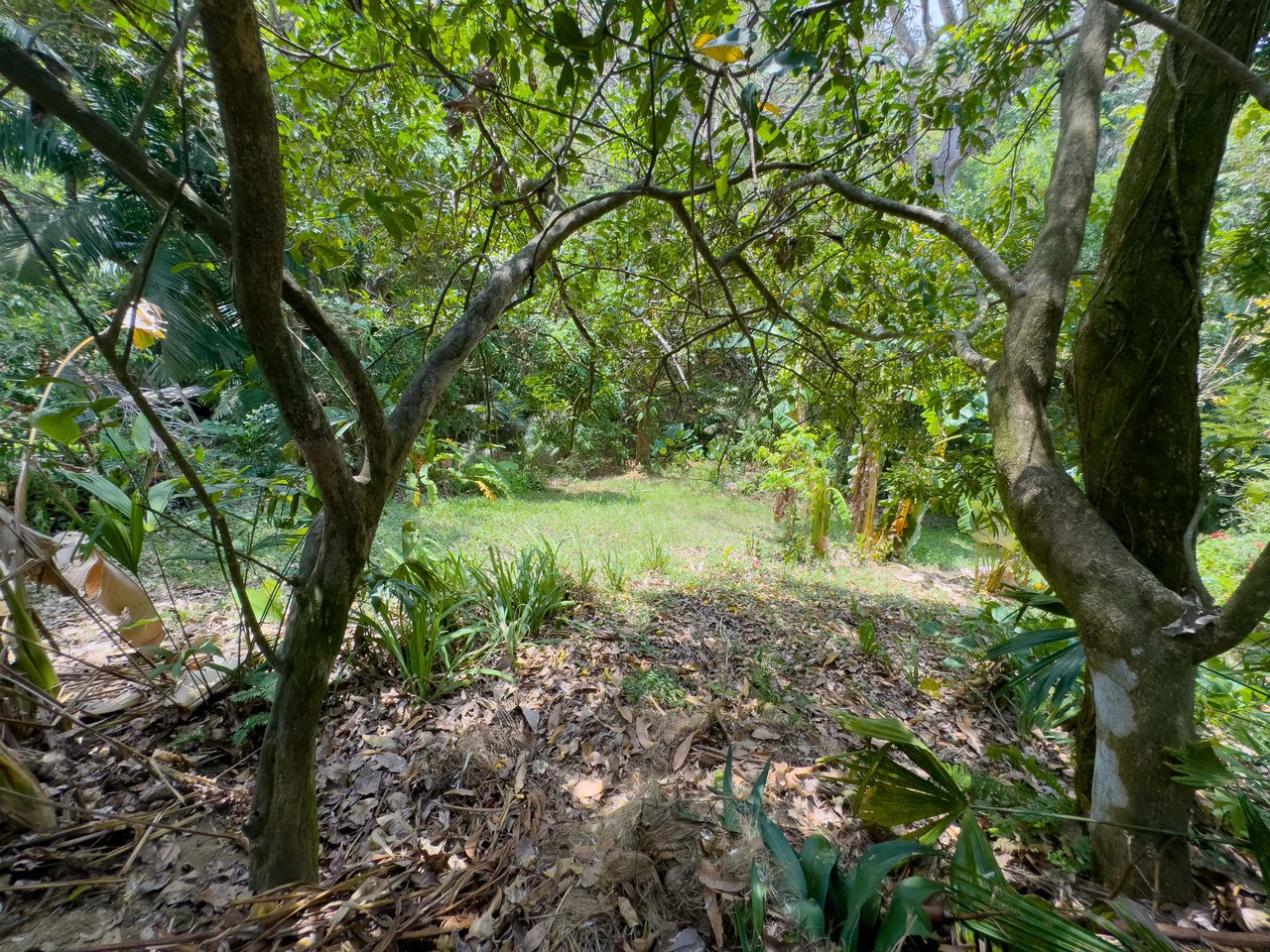 2 Suite Apartment Villa in the heart of Manuel Antonio - Gallery image 32