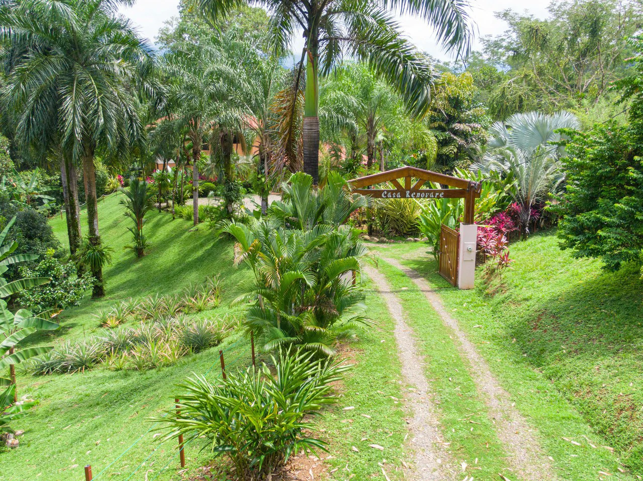 Stunning Tropical Home in Gated community with Hundreds of fruit trees: Mountain House For Sale in Naranjito - Gallery image 39