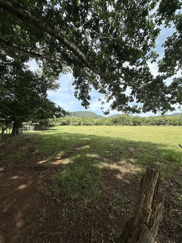 Finca La Fabiola: 4-Hectare Property in Santa Cruz, Guanacaste - photo 2