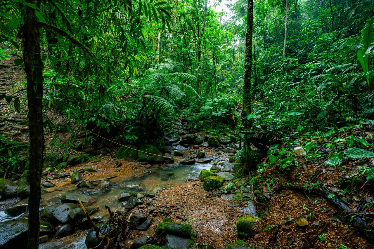 Riverfront Sanctuary with Breathtaking Views of Diamante Waterfalls - Gallery image 23