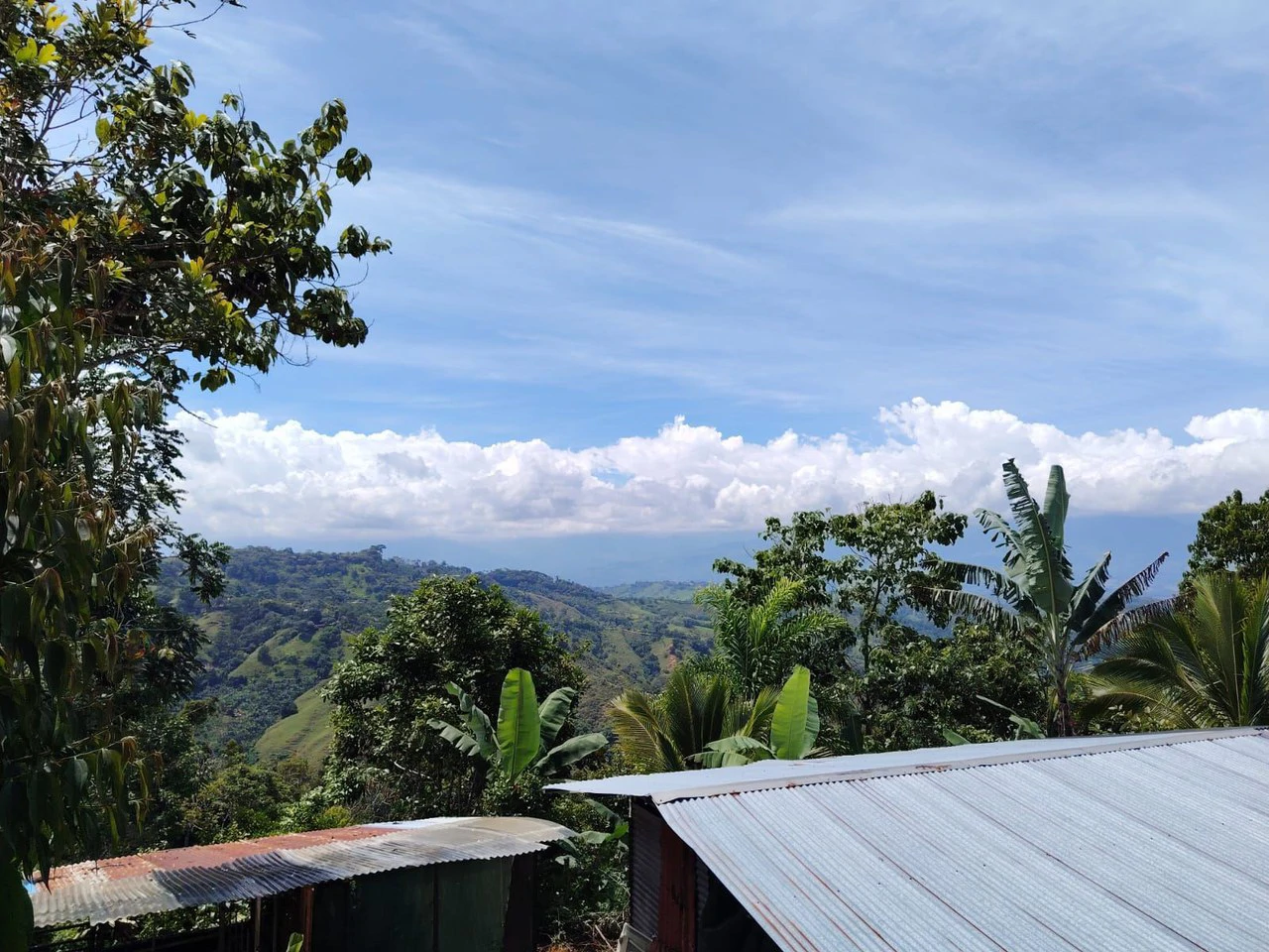 SE VENDE CASA EN SAN JUAN BOSCO, PEREZ ZELEDON.: Mountain House For Sale in Daniel Flores - Gallery image 15