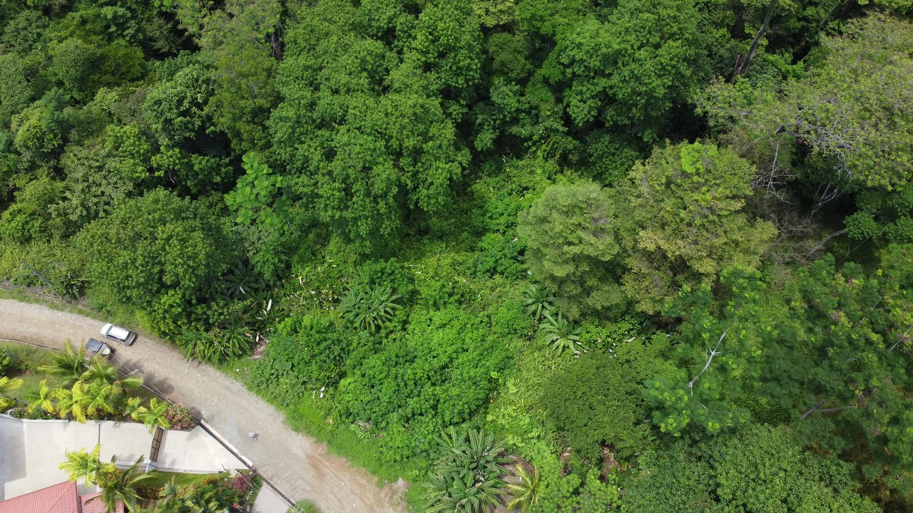 Ojochal - 1 Acre Ready To Build Jungle Lot, Ocean Breezes in Wildlife Corridore - Gallery image 10