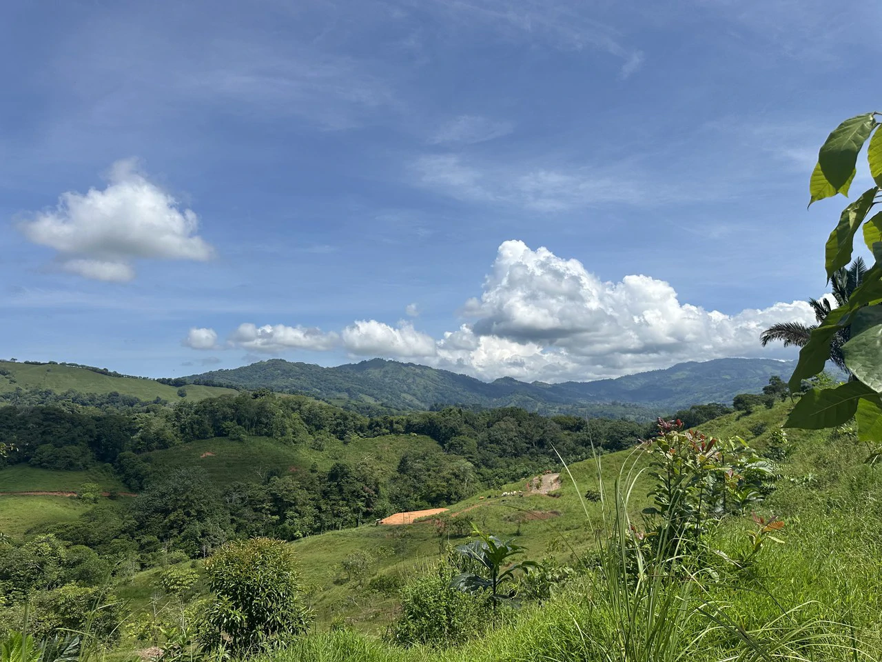 8.78 Acres Mountain View Estate with Water, Infrastructure & Endless Development Potential | Platanillo de Barú, Costa Rica - photo 17