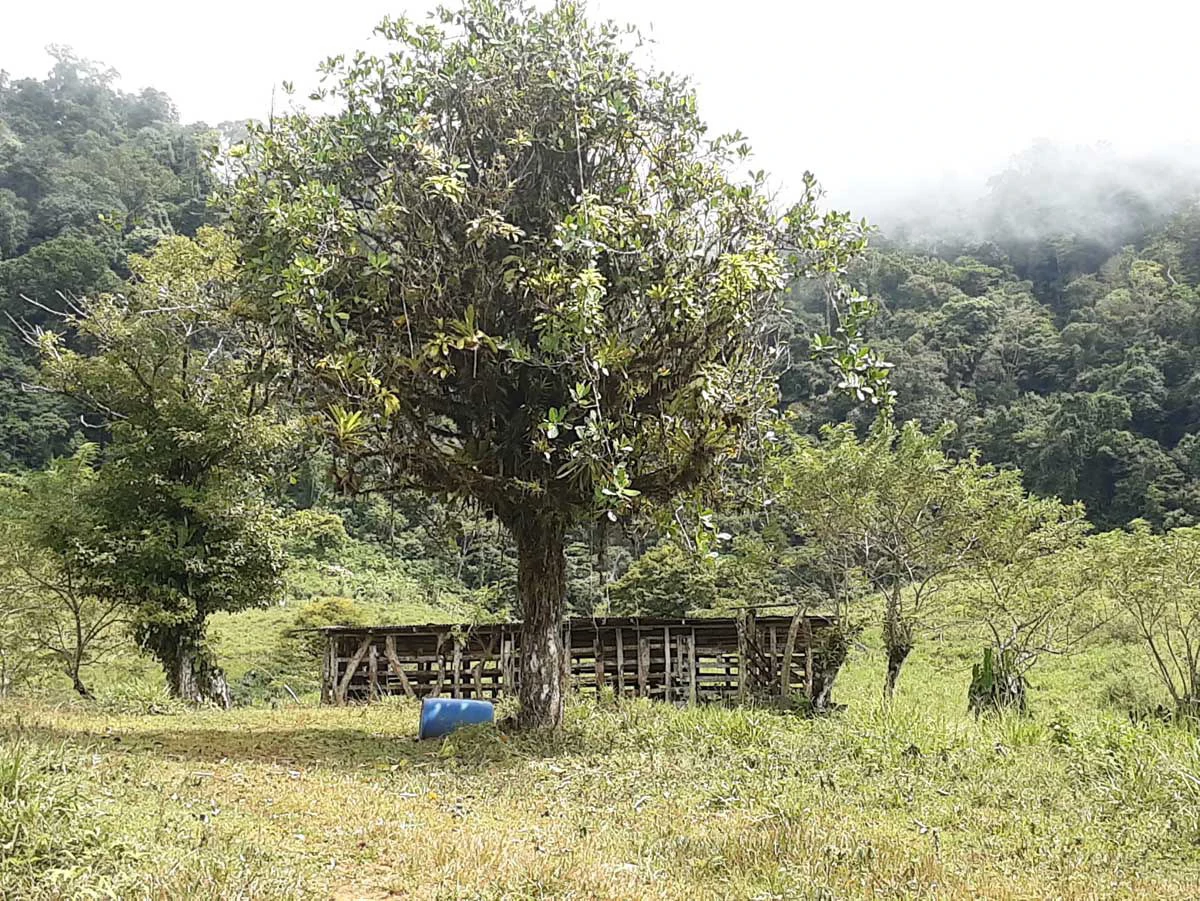 Finca Tesoro Escondido - The Jewel of Uvita - Gallery image 47