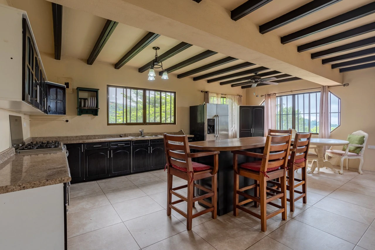 Expansive 27 Acre Farm with Residence in San Isidro del General - Gallery image 25