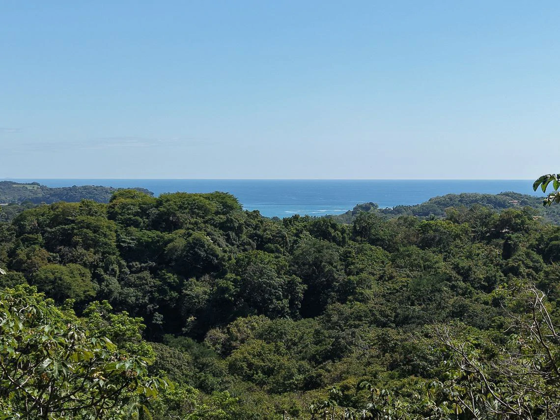 Lote Los Tecales: Spectacular Ocean & Jungle View Hillside Homesite with Approved Building Permit and House Renderings