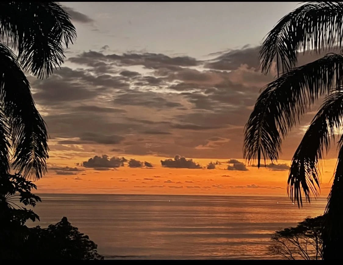 1.42 ACRES – 4 Bedrooms 2 Story Ocean-View Home With 2 Bedroom Guest House In Premium Beach Community, Walk to the Beach! - Gallery image 6