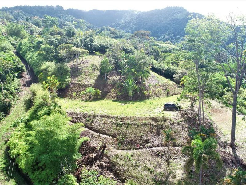 Captivating 3.15-Acre Property: Huge Pricedrop! Firesale Oceanview Lot in Tres Rios