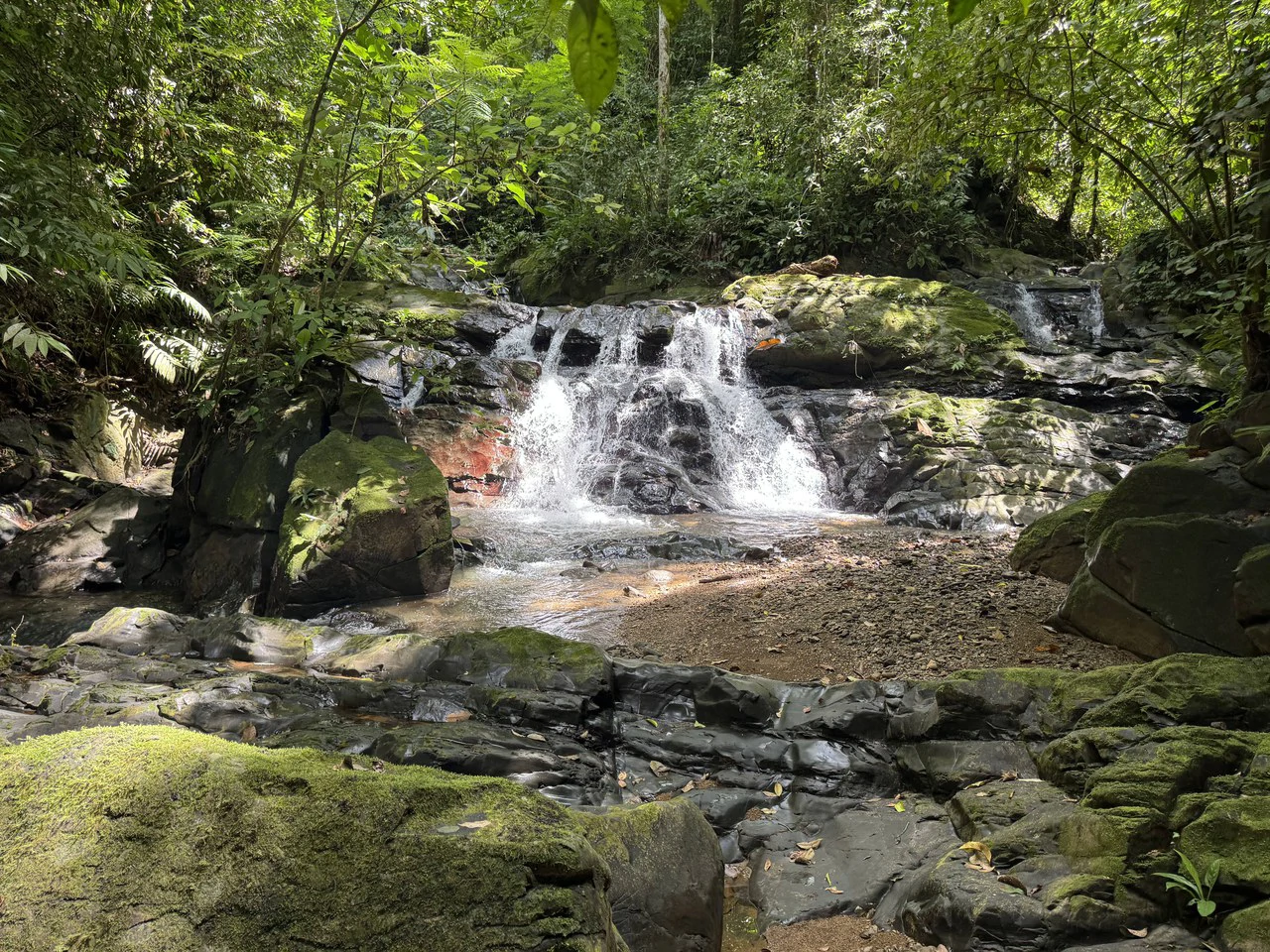 23.5 Acre Waterfall & Riverfront Estate Bahia Ballena Osa Peninsula - Gallery image 24