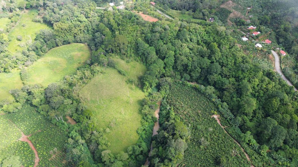 Mountain and Countryside Agricultural Land For Sale in Platanares - photo 11
